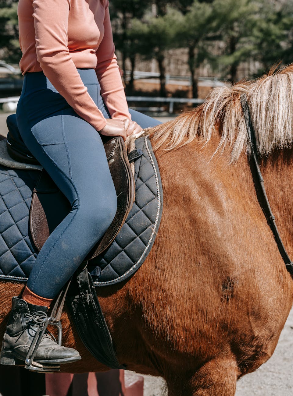 Loesdau.de : Tout pour les passionnés d'équitation et les soins aux chevaux.