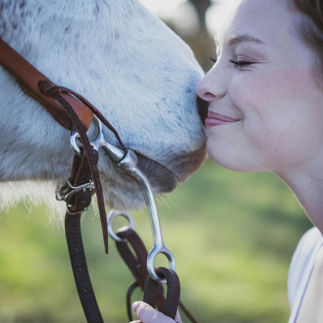 Équitation, Soins aux Chevaux, Équipement Équestre, Produits pour Chevaux, Accessoires pour Chevaux, Entraînement à la Montée, Nutrition des Chevaux, Selles et Bridons, Construction d'Écuries, Santé des Chevaux